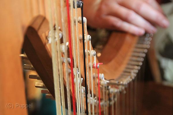 20110702-1200 AltRH_Magic Harps_D-F1039-IMGA8321-5.jpg